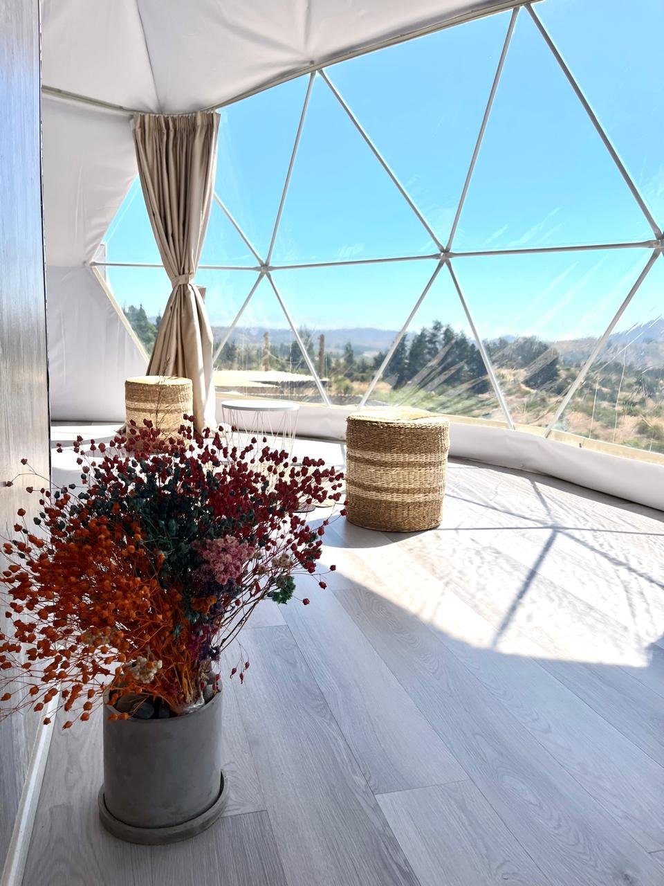 WhatsApp Image 2026-01-12 at 18.45.39