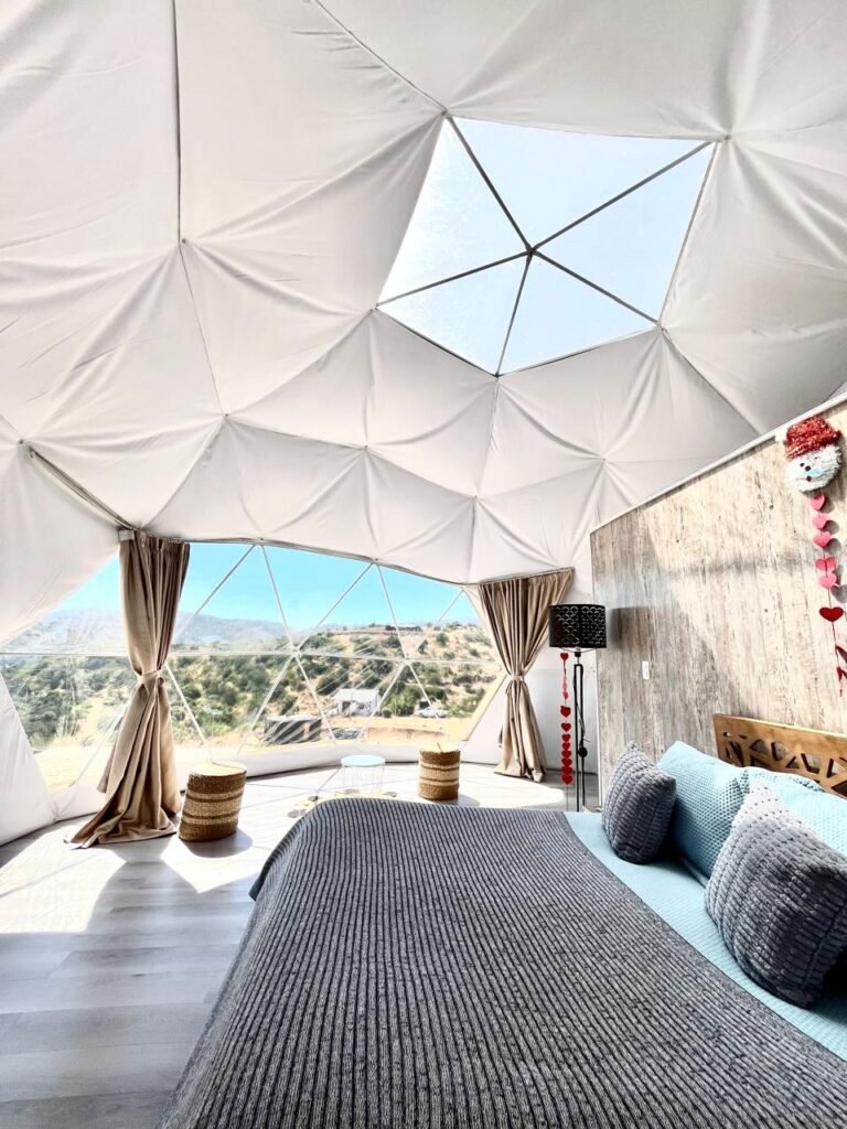 WhatsApp Image 2026-01-12 at 18.45