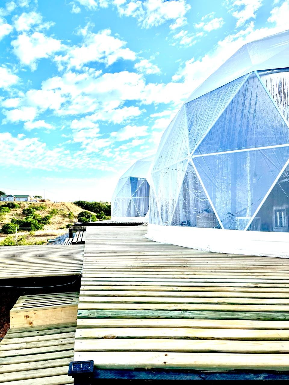 WhatsApp Image 2024-02-15 at 22.44.29 (1)