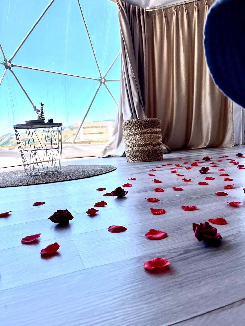 WhatsApp Image 2026-01-12 at 18.45.49 (3)